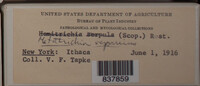 Image Associated With the Occurence